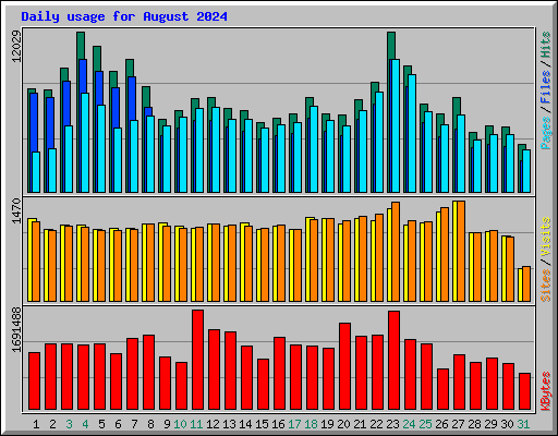 Daily usage for August 2024