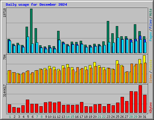 Daily usage for December 2024