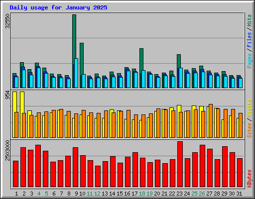 Daily usage for January 2025