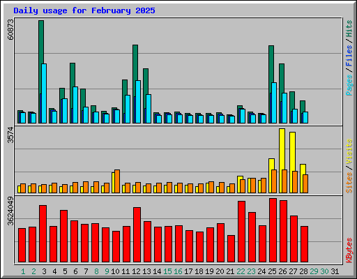 Daily usage for February 2025