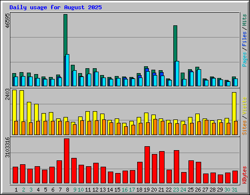 Daily usage for August 2025