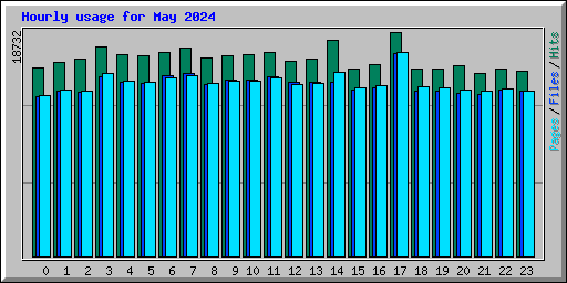 Hourly usage for May 2024