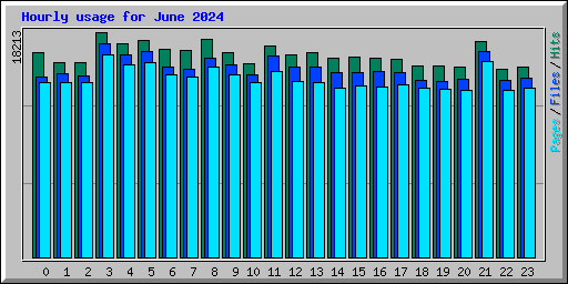 Hourly usage for June 2024