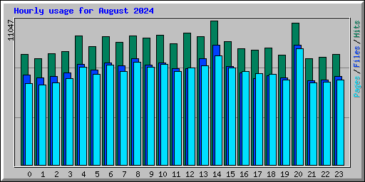 Hourly usage for August 2024