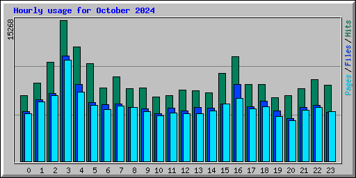 Hourly usage for October 2024