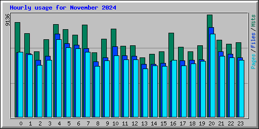Hourly usage for November 2024