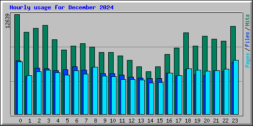 Hourly usage for December 2024