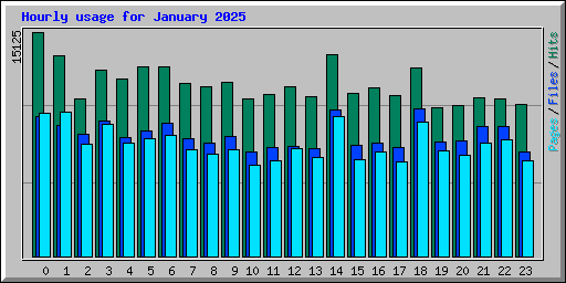 Hourly usage for January 2025