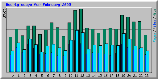 Hourly usage for February 2025