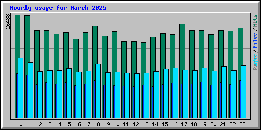 Hourly usage for March 2025