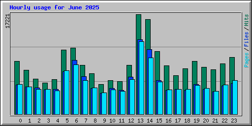 Hourly usage for June 2025