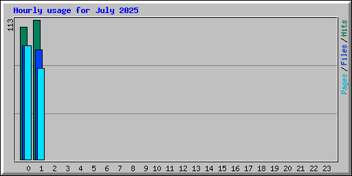 Hourly usage for July 2025
