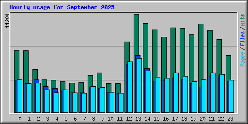 Hourly usage for September 2025